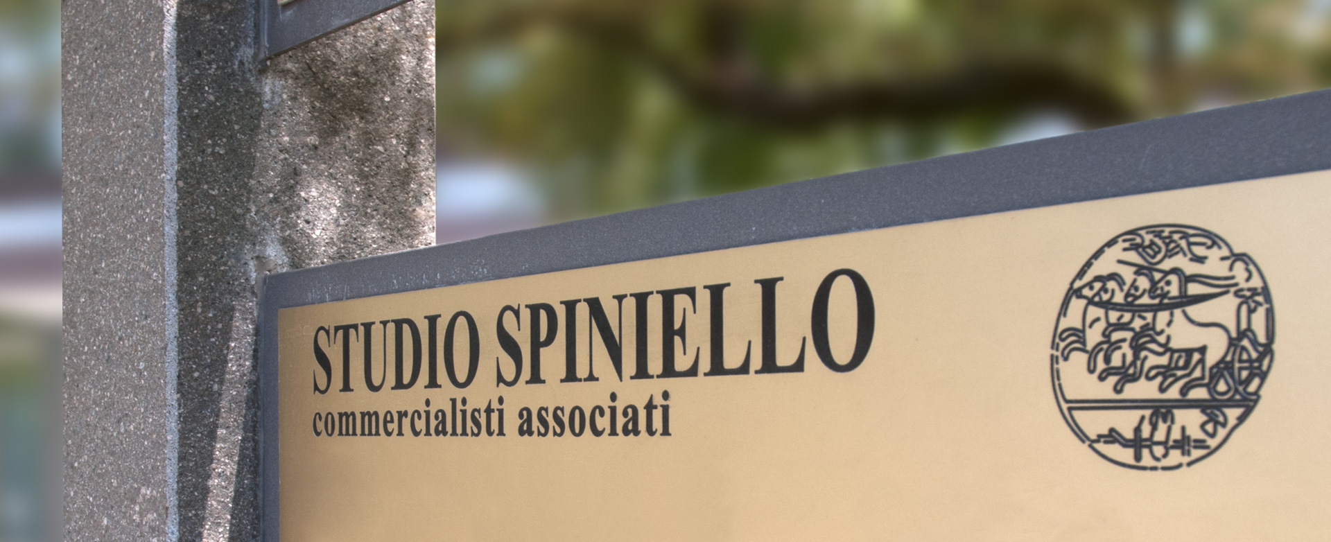 Homepage Studio Spiniello